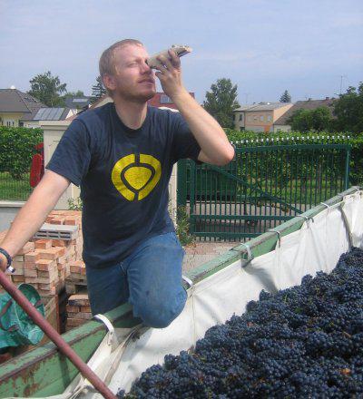 Measuring the sugar concentration with the refractometer.