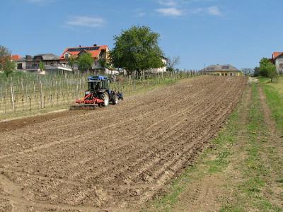 The field before the work - At first the subsoil is loosened.