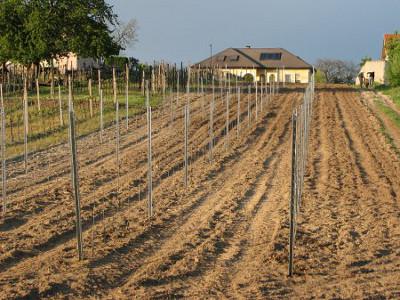 Everything's in line - The end of a hard day's work.