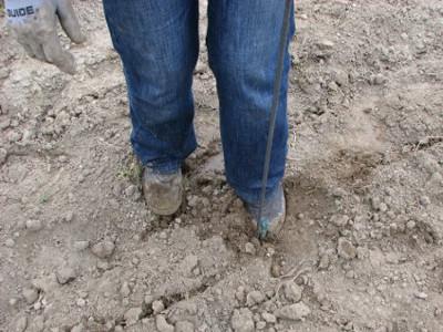 ... and the soil is compacted by stepping on it.