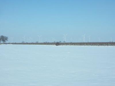 Blick über ein verschneites Feld. Dahinter erstreckt sich ein Weingarten, und noch weiter hinten sieht man weiße Windräder aus dem diesigen Bodennebel aufragen.