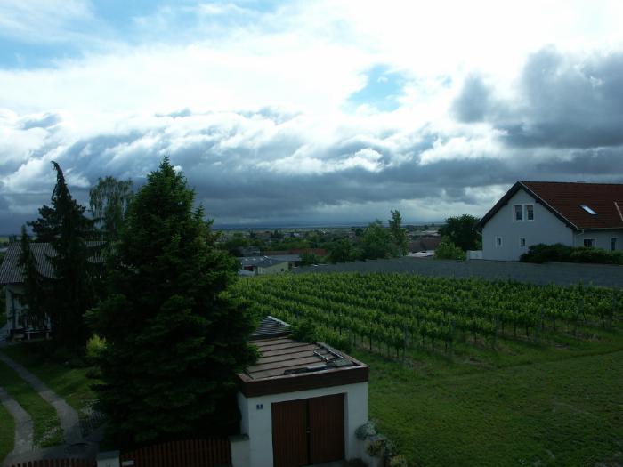 Blick von Gols nach Westen auf eine dunkle Wolkenfront. Im Vordergrund scheint aber die Sonne.
