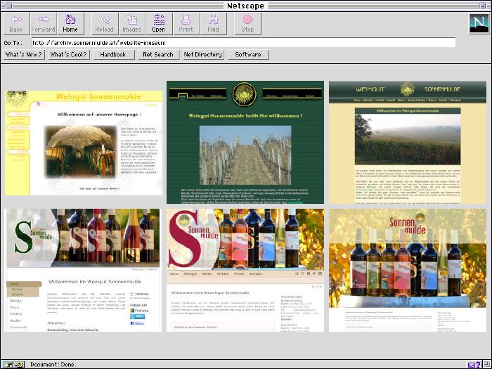 Netscape 2 Programmfenster mit Screenshots unserer archivierten früheren Webseiten.