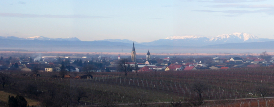 Panoramic view of gols in winter with no snow