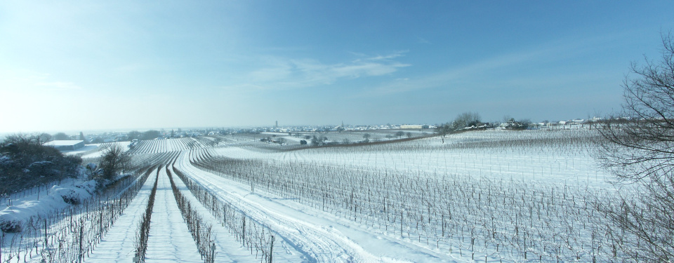 Panoramic view of gols in winter with white with snow