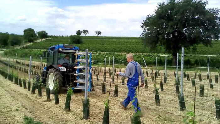 Wire spools mounted at the rear of a tractor, which are unrolled while driving through the rows of vines.
