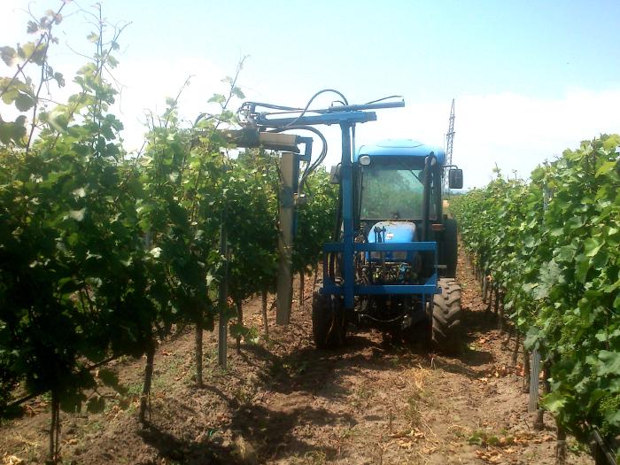 A tractor from the front. A device is mounted that protrudes over the row of vines on the right and trims shoots on the sides and top with rotating knives..