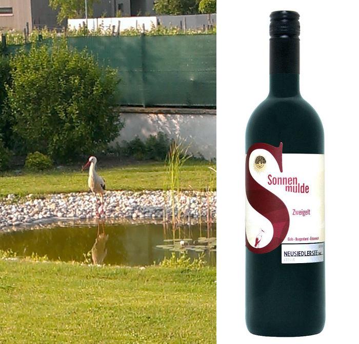 Zwei Fotos, eines vom Storch am Teich, eines einer Weinflasche.