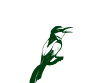Ein Bienenfresser als Logo für den Pinot Blanc lieblich