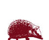 Ein Igel als Logo für den Cabernet Sauvignon