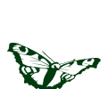 Ein Schmetterling als Logo für den Junger Welschriesling