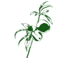 Weingartenpfirsiche als Logo für den Sämling
