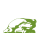 Ein Frosch als Logo für den Grüner Veltliner Heideboden