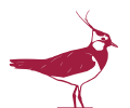 Ein Kiebitz als Logo für den Blauer Zweigelt Alte Reben