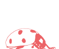 Ein Marienkäfer als Logo für den Rosé