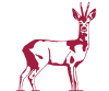 Ein Reh als Logo für den Canopus