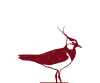 A lapwing as logo for the Blauer Zweigelt Alte Reben