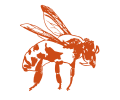 Honey bee as logo for the Sämling
