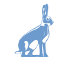 A hare as logo for the Blaufränkisch halbtrocken