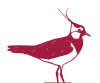 A lapwing as logo for the Blauer Zweigelt Alte Reben